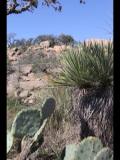 Enchanted Rock 2012